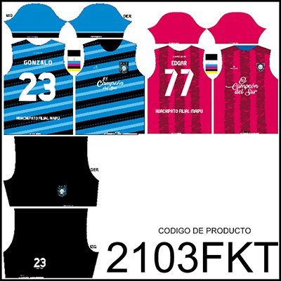 Diseño 2103